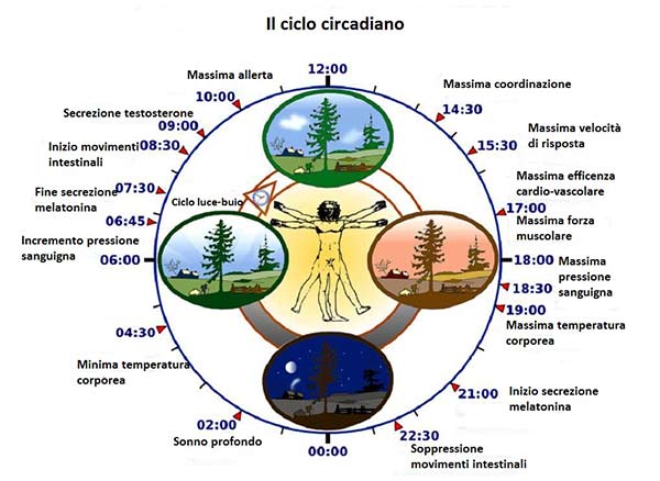 Ritmo Circadiano: cosa è, come influenza la nostra vita, il nostro sonno e il nostro benessere?